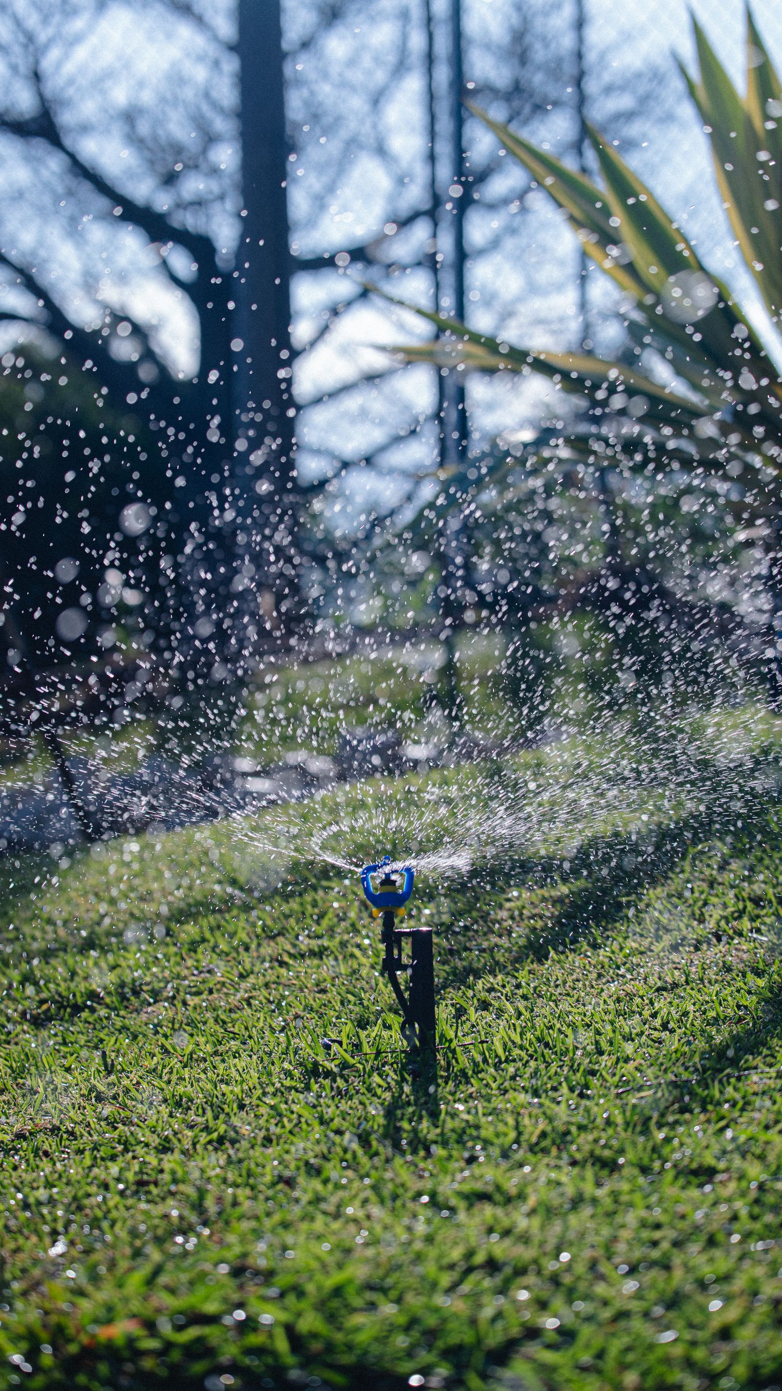 Arroseur automatique en action dans un jardin
