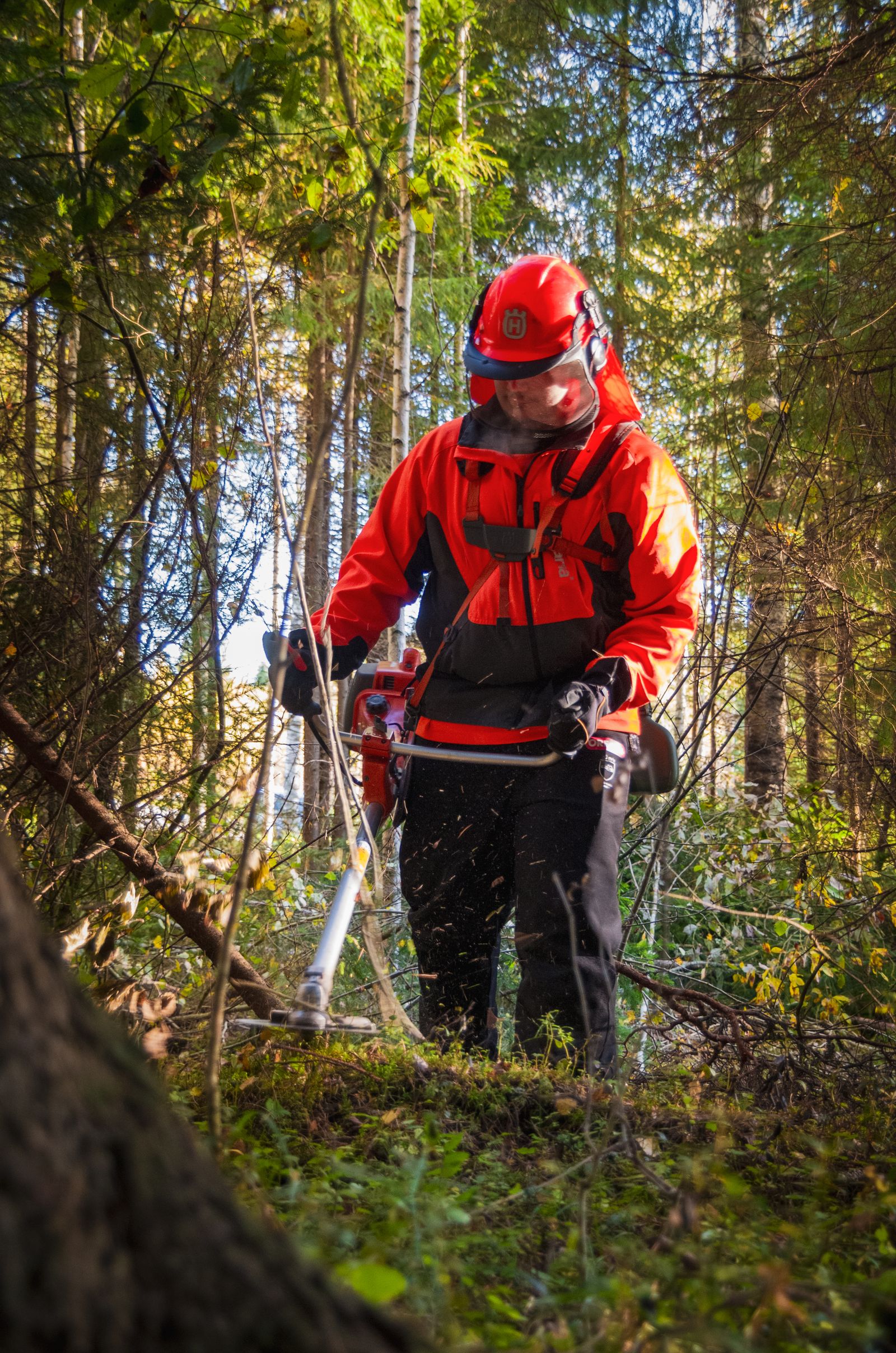 Débroussaillage d'un terrain enfriché