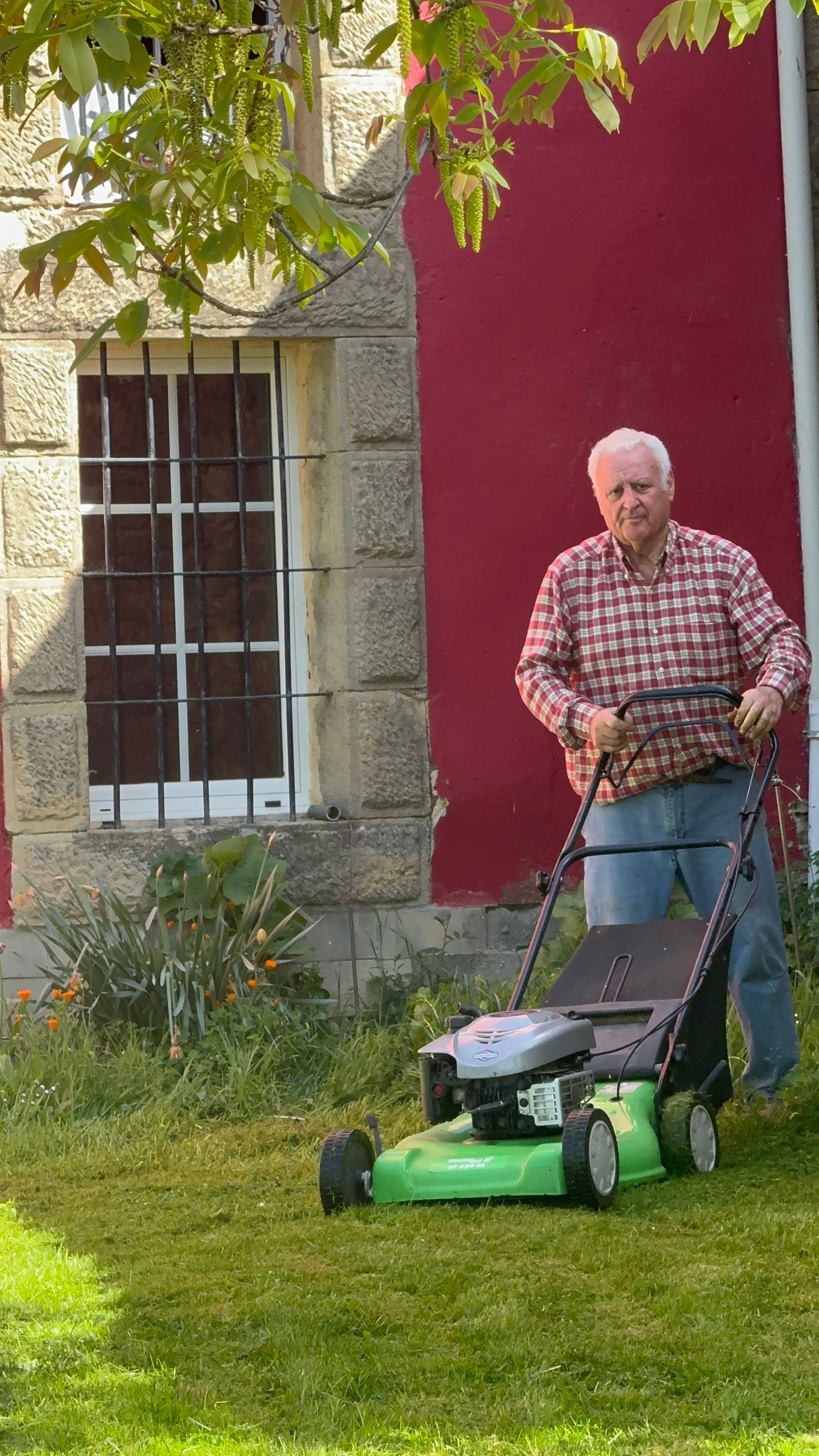 Paysagiste tondant une pelouse dans un jardin de pavillon